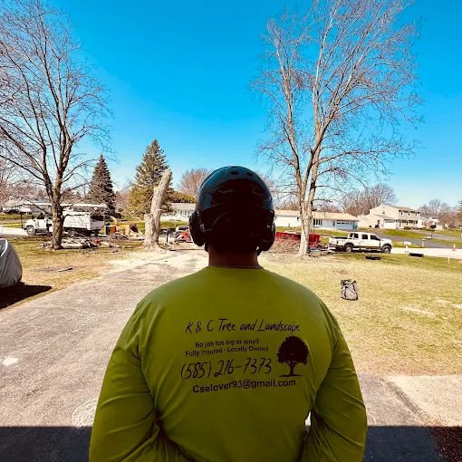 K&C Rochester Tree and Landscape Image